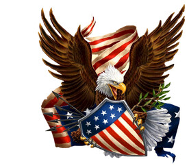 南北旗 美国国旗 美旗 鹰 做