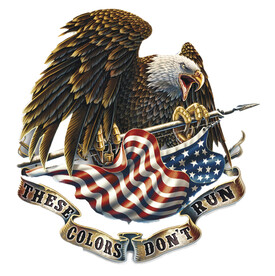 南北旗 美国国旗 美旗 鹰 做