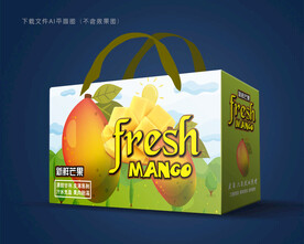 芒果包装 