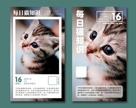 早安海报 猫知识海报