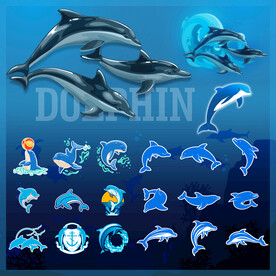 矢量海豚系列