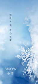 节气海报