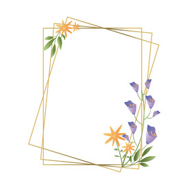 花卉植物几何金色边框