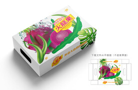 火龙果包装