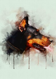 5070电子油画装饰画杜宾犬