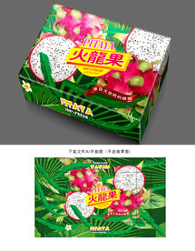 火龙果包装 火龙果礼盒 火龙果