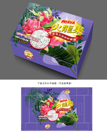 火龙果包装 