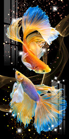 时尚孔雀鱼轻奢玄关背景墙