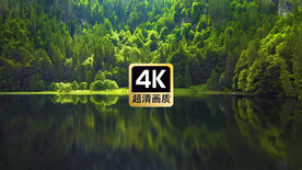 航拍短视频素材安静的森林湖面