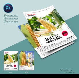 玉米种子传单