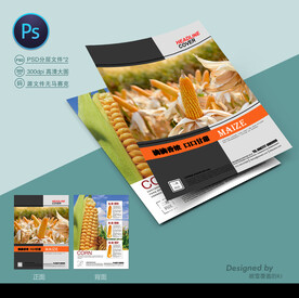 玉米种子宣传单