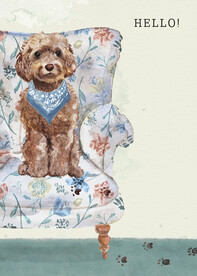 卡通手绘小狗宠物泰迪犬