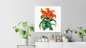 50X50厘米版画素材成色花朵