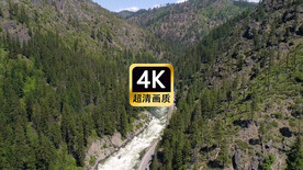 短视频素材航拍山谷森林公路车流