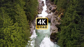 短视频素材航拍森林奔腾的河流