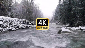 短视频素材冬季森林流淌冰河