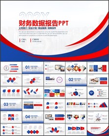 财务数据报告PPT