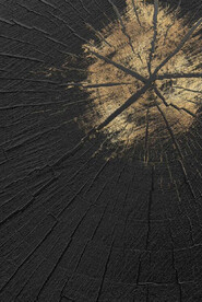 北欧风金色木纹年轮玄关装饰画