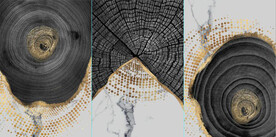 北欧风金色木纹年轮玄关装饰画