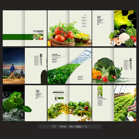 蔬菜画册