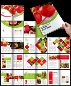 绿色有机蔬菜西红柿食品水果画册