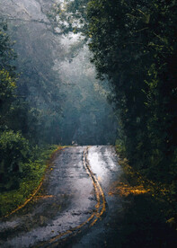 数字油画装饰画素材傍晚林间道路