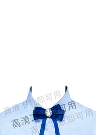 女士证件照衬衫图片