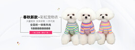 淘宝阿里宠物用品海报