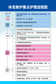 休克救护要点护理流程图