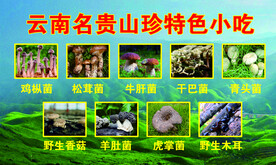 云南特色