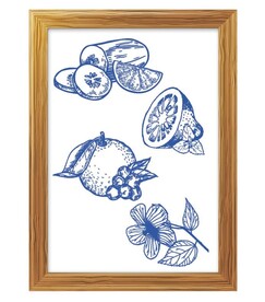 黄瓜 柠檬 美子 木槿