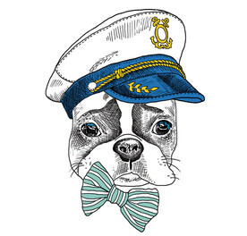 手绘海军动物狗