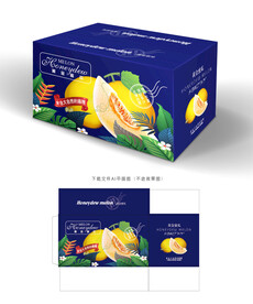 蜜瓜包装 