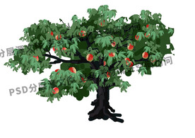 果树