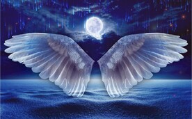 现代北欧风天使翅膀电视背景墙