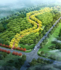 林带 绿道 大堤绿化鸟瞰