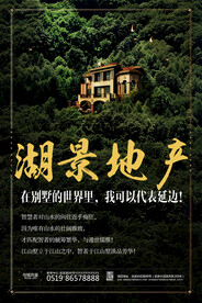 湖景地产海报