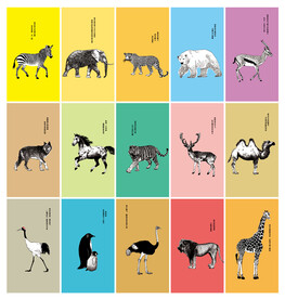 15种野生动物插画