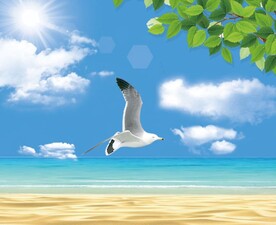 蓝天白云
