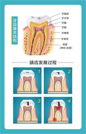 口腔