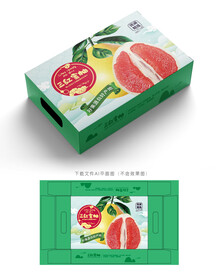 三红蜜柚包装 