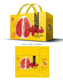 三红蜜柚包装 