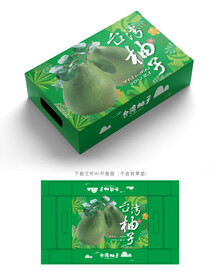台湾柚子包装