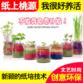 盆栽创意直通车主图设计