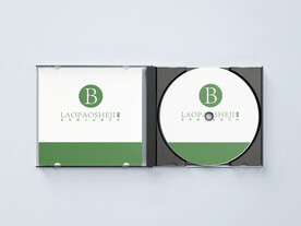 光盘样机效果图片