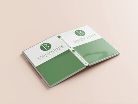 光盘样机效果图片