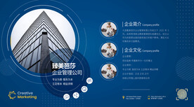 公司蓝色简洁介绍展板 企业简介