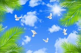 蓝天白云鸽子绿叶