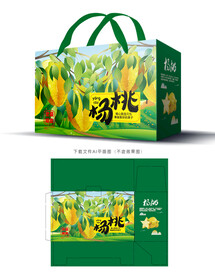 杨桃包装