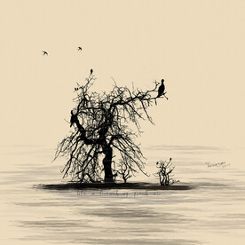 简约装饰画小清新抽象画